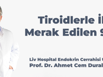 troidlerle-ilgili-merak-edilen-9-soru